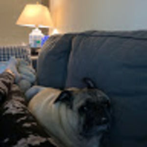 Meet your Posher, Ingrid